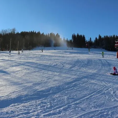 Domek 4Seasons Karpacz Z Prywtna Sauna I Kominkiem *