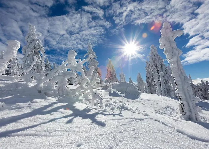 4seasons Z Prywtna Sauna I Kominkiem Karpacz